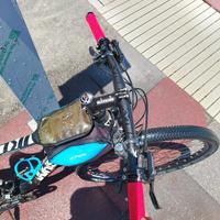 Whistle 29 mtb