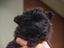 Immagine 4