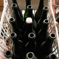 Vecchie bottiglie da vino