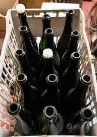 Vecchie bottiglie da vino