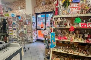 NEGOZIO A SETTALA