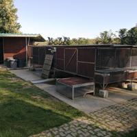 gabbia per animal