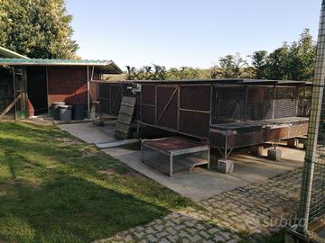 gabbia per animal