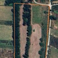 Terreno agricolo