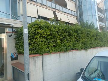 Abitazione al piano rialzato