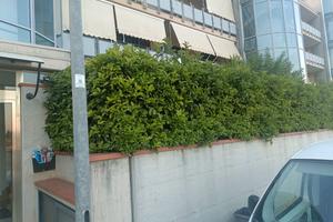 Abitazione al piano rialzato