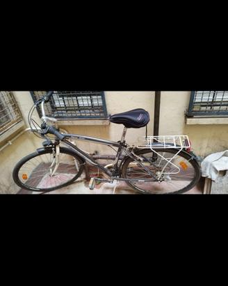 Bicicletta City Bike uomo Lombardo Siena 200