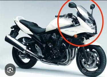 carena bandit 650 s 