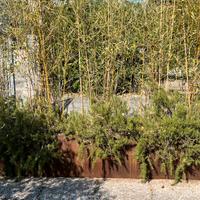 Vasca in corten misure 240x 40 x46
