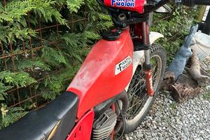 Fantic Trial 50-80