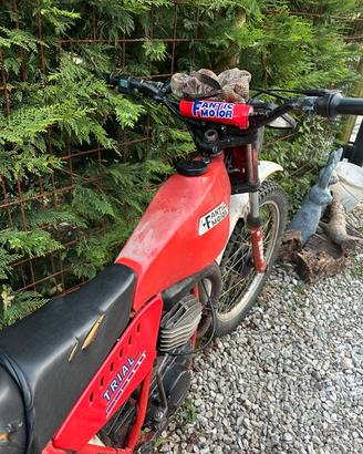Fantic Trial 50-80