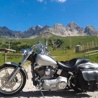 Harley-Davidson Softail Standard - 2006