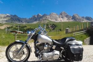 Harley-Davidson Softail Standard - 2006