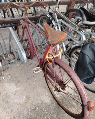 Bicicletta uomo