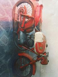 MV Agusta 125 tutismo raido