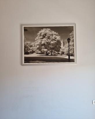 Quadro -  120x 90 'Central Park' - Ikea
