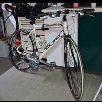 Bicicletta Olmo Impact