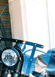 Parabrezza springer cross bones