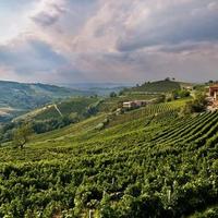 Soluzione in Oltrepò