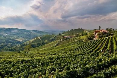 Soluzione in Oltrepò