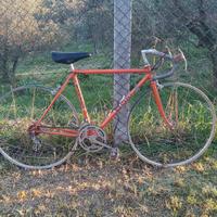 Bici da corsa vintage Vicini