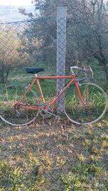 Bici da corsa vintage Vicini