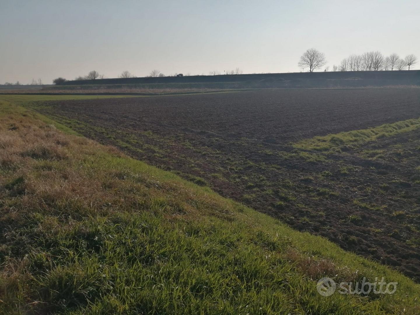 Terreno agricolo - Vista 5