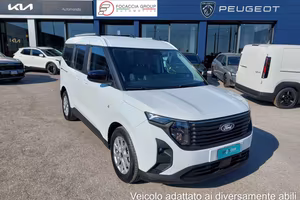 Ford Tourneo Courier per disabili