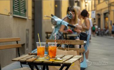 ATTIVITÀ A PRATO