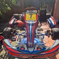 go kart birel tm