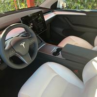 Tesla model y standard range nlt