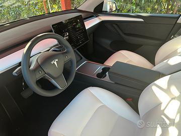 Tesla model y standard range nlt