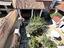 Immagine 12