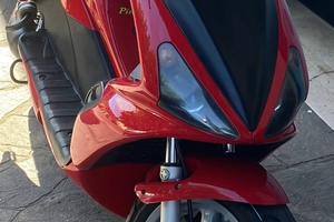 Benelli 491