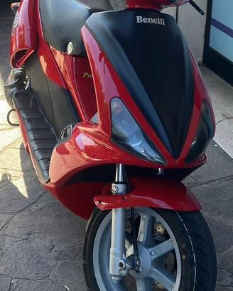 Benelli 491