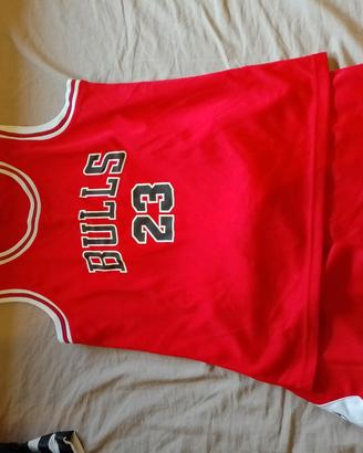completo chicago bulls