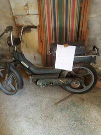 motorino piaggio