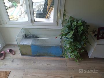 Acquario per pesci o tartaruga d’acqua