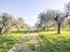 Immagine 22