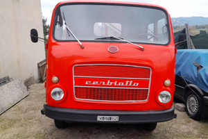 Cerbiatto Om 44q 1967