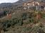 Immagine 10