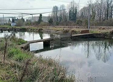 Immobile in asta di 4321 m² a Treviso