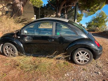 Maggiolone new beattle td