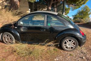 Maggiolone new beattle td