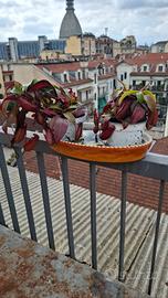 piante carnivore nepenthes bloody mary