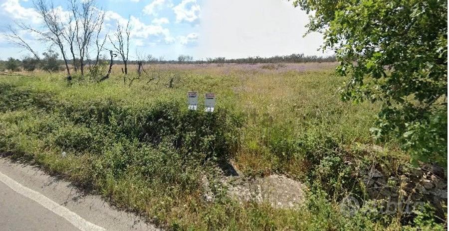 Terreno Agricolo Uliveto di ~7.000 mq - Fronte Str - Vista 2