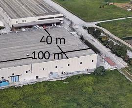 Capannone logistica 4000 Mq