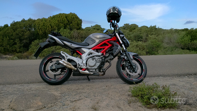 Suzuki Gladius 650