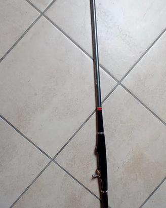 Canna da pesca Daiwa + mulinello Ryobi 