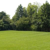 c. e. r. c. o.  prati per fare il fieno a breno 